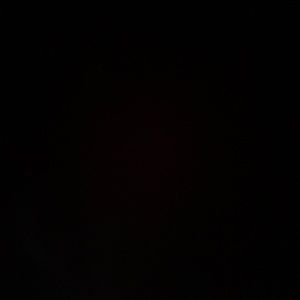 Meet your Posher, Susana